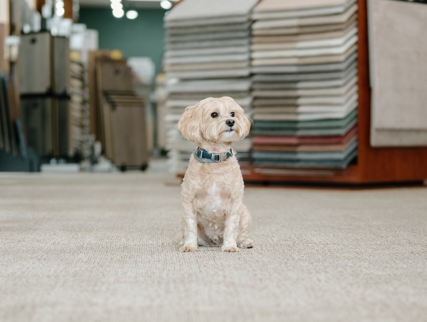 Love Our Service Write A Review