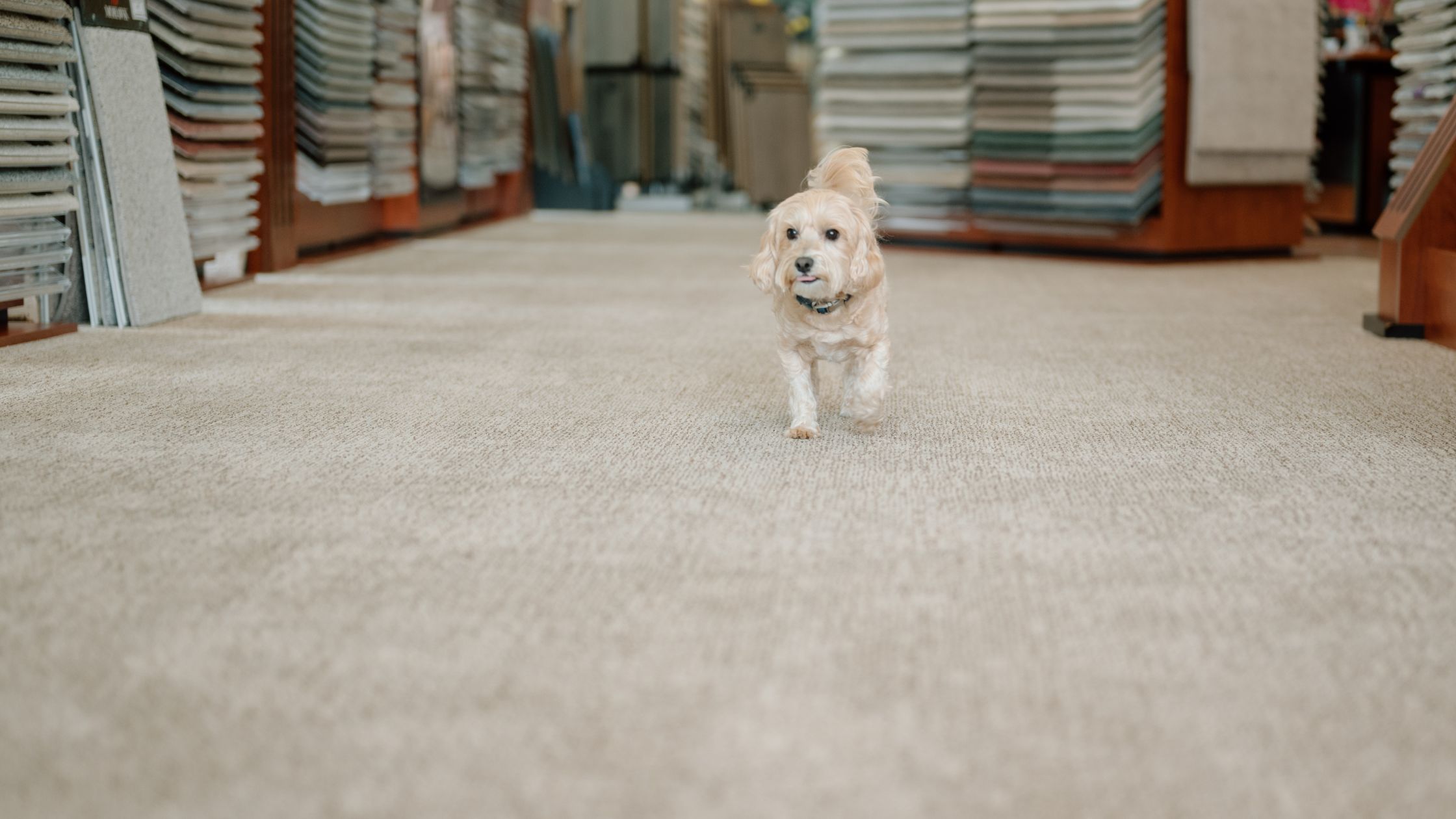 The Dos and Don’ts of Carpet Installation